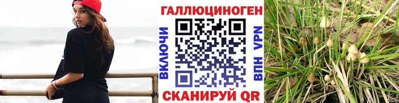 hydra как войти  Лениногорск  Псилоцибиновые грибы мухоморы 
